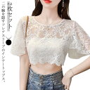 レイヤード フリル フリル袖 トップス インナー 【2枚セット】二の腕カバー レディース レース 付け袖 透け感 アウター 半袖 重ね着 付け袖 つけ袖 体型カ...