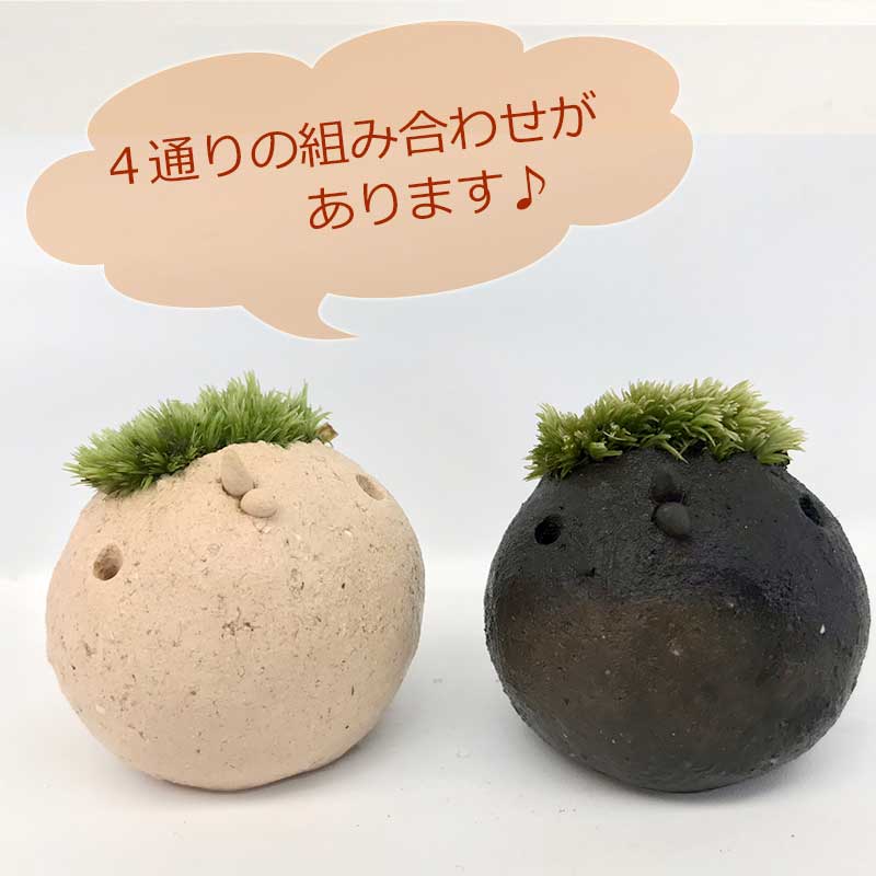 苔 コケがかわいい 真山茜さんのモスモス モスコトリ1羽・受け皿セット mosmos 益子 陶芸家 観葉植物 コケテラリウム インテリア コケ栽培 ギフト誕生日 とりゴケ 苔とり 苔 こけ コケ