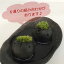 苔 インテリア コケがかわいい 真山茜さんのモスモス モスコトリ2羽 受け皿セット mosmos 益子 陶芸家 観葉植物 コケテラリウム インテリア コケ栽培 ギフト誕生日 とりゴケ 苔とり 色が選べる とりゴケ 苔とり 苔 こけ コケ