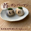 苔 インテリア コモスモスボンバー 真山茜【モスモスボンバー2人・受け皿セット】 ボンバーマン mosmos 益子 陶芸家 観葉植物 コケテラリウム インテリア...