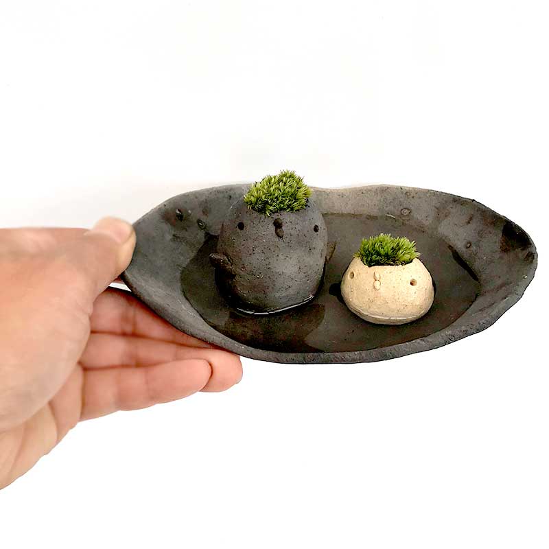 �� ����ƥꥢ ���������襤�� ����������Υ⥹�⥹ �⥹�ɥ�1�����ȥ�1�������������å� mosmos �׻� ƫ�ݲ� ���տ�ʪ �����ƥ�ꥦ�� ����ƥꥢ �������� ���ե������� �Ȥꥴ�� �ݤȤ� �� ���� ����