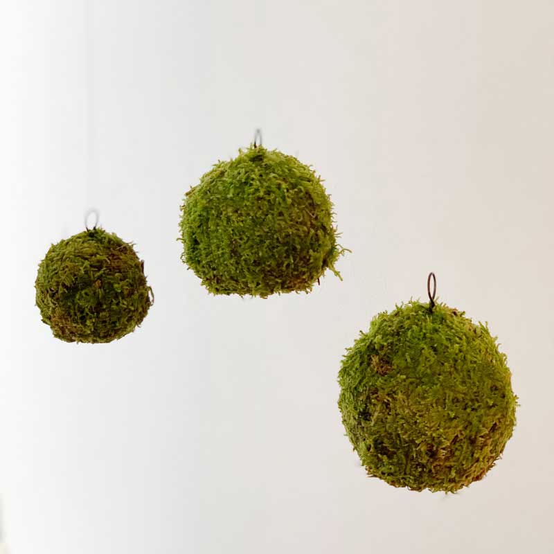 苔玉 つりこけだま モスボール 3セット コケボール つるす 吊り下げ苔玉 ハンギング MOSS BALL（モスボール）S/M/Lサイズ 大き目 シンプル ハイゴケこけだま 苔 こけ コケ コケダマ こけ玉