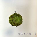 苔玉 つりこけだま モスボール Sサイズ コケボール つるす 吊り下げ苔玉 ハンギング MOSS BALL（モスボール） Sサイズ 小さい シンプル ハイゴケ こけだま 苔 こけ コケ コケダマ こけ玉