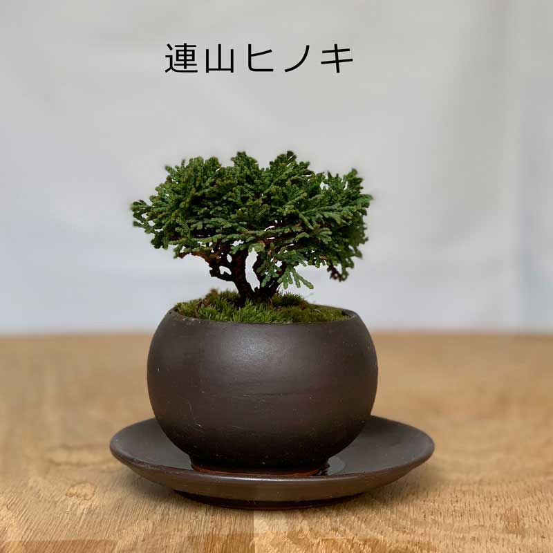 楽天市場】花台 木製(盆栽|花・観葉植物):花・ガーデン・DIY 楽天市場】花台 木製(盆栽|花・観葉植物):花・ガーデン・DIY