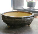 盆栽の鉢 植え替え 盆栽用 陶器鉢 信楽焼鉢 茶鉢 直径15cm 鉢底ネット セット済み 盆栽 ぼんさい ボンサイ 鉢
