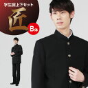 学生服 上下セット B体 ポリエステル100% 東レ 黒 165B-185B W64cm-100cm
