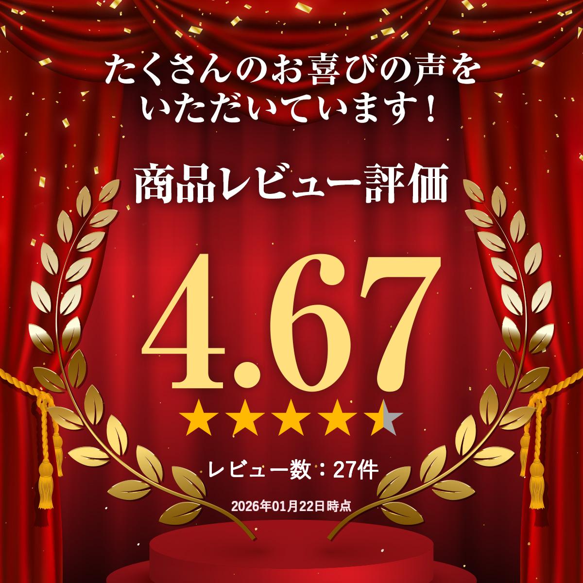 �������� 10���ѥ����ɥ�å� CR-S10|�����५���� ������쥳������ �����५���ɥ쥳������ �쥳������ ������쥳���� seiko ��������������쥳������ �����ɥ�å� �����५���ɥ�å� ��å� �������������५���� ��̳���� Ź������ ���ե��� ��� ��̳ Ź��|