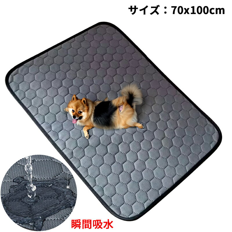 【新商品】 RAITOS ペット用おしっこマット 70x100cm トイレシート 下敷き マット 洗える 繰り返し利用可能 4層構造 瞬間吸水 速乾 消臭 滑り止め