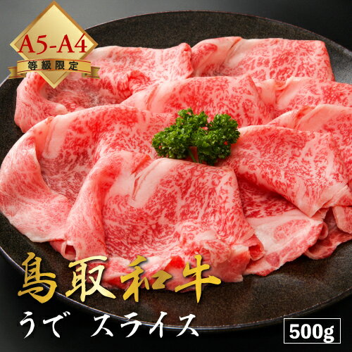 飛騨牛 【厳選鳥取和牛◆肉質全国1位】肉 ギフト にく 牛肉 贈り物 しゃぶしゃぶ 黒毛和牛 鳥取和牛 焼肉 【 うで 】赤身 国産牛 父の日 母の日 送料無料 お中元 和牛 500g A5ランク A4ランク お歳暮 御歳暮 ※ ふるさと納税 食べ比べ 飛騨牛 訳あり 切り落とし ではありません