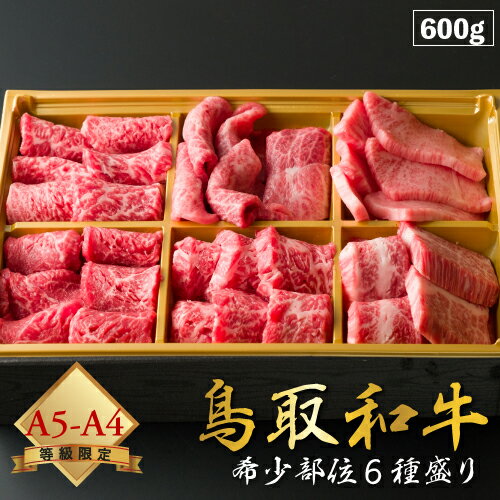 飛騨牛 【厳選鳥取和牛◆肉質全国1位】肉 ギフト にく 牛肉 贈り物 焼肉 黒毛和牛 鳥取和牛 赤身 国産牛 セット 詰め合わせ 父の日 母の日 お中元 600g A5ランク A4ランク 和牛 国産 希少部位 送料無料 ※ ふるさと納税 飛騨牛 切り落とし ステーキ サーロイン ではありません