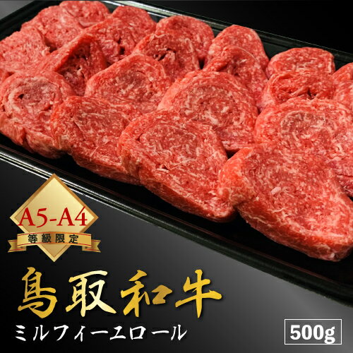 飛騨牛 【厳選鳥取和牛◆肉質全国1位】肉 にく ギフト 赤身 焼肉 牛肉 黒毛和牛 鳥取和牛 和牛 【 大門ロール 】 国産牛 500g 父の日 母の日 お中元 御中元 贈り物 贈答 プレゼント A4 A5 ランク お祝い 送料無料 お歳暮 御歳暮 ※ 飛騨牛 訳あり ふるさと納税