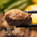 【送料無料】黄金そだち 三元豚太郎 塩ダレ豚ハラミ 【500g×2パック 計1kg】 焼肉 焼き豚 BBQ バーベキュー おつまみ つまみ 豚肉 肉