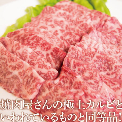 牛肉 焼肉 厳選カルビ 400g 約2-3人前 肉 国産牛 焼き肉 食品 冷凍 3