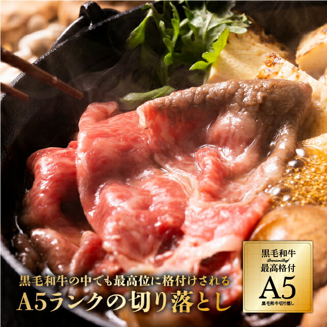 肉 A5 黒毛和牛 切り落とし 400g 冷凍 