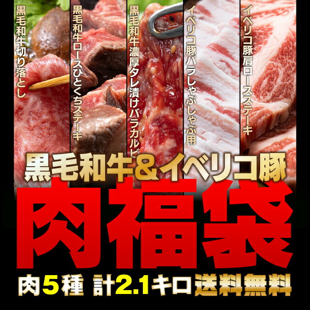 黒毛和牛＆イベリコ豚の豪華 肉福袋 肉5種 計2.1キロ（九