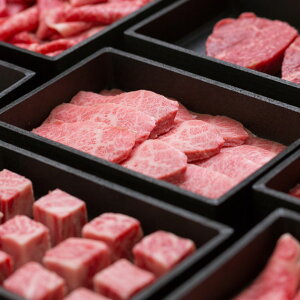 TheOniku旬のお肉 厳選おまかせセット ［お肉ギフト］ 5,000円コース 父の日 プレゼント お中元 お歳暮 内祝い