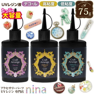 ＼クーポン配布中／ UVレジン液 大容量 レジン液 レジン 65g スリムボトル | アクセサリー 作りに レジン液 レジン液 レジン アクセサリー ケミテック レジン液 スリムボトル 大容量 LEDライト UVレジン ハンドメイド UVライト 太陽光 レジン お得 レジンレ