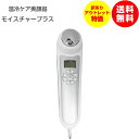 【訳あり/アウトレット/特別価格】イオン導入 イオン導出 温冷美顔器 モイスチャープラス ホットクレンジング 美顔器 イオン 美容器 イオンエフェクター 美肌 マッサージ 保湿ケア 送料無料