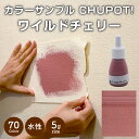 ˥åڥۡ४饤㤨̵֡ѡɻξ夫ɤ ڥ  STYLE DIYڥ CHUPOT!ʥ 5g 顼磻ɥ꡼ 70  Ĥʤ ޥå     졼 ʤ ɥ顼 ߥ顼˥åڥۡץġפβǤʤ100ߤˤʤޤ