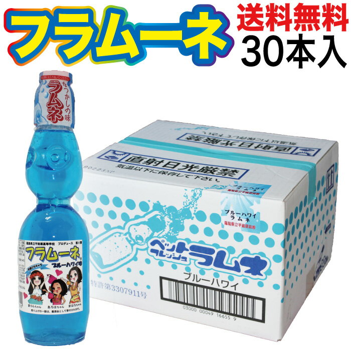 フラムーネ ブルーハワイ味 230ml 1ケース30本入 ラムネ ペットボトル ビー玉入 ご当地サイダー pet 福島 お土産 【送料無料 ジュース 炭酸 炭酸水 飲料 業務用 ケース 業務用 子供会 景品 お祭り くじ引き 縁日】お盆 お供え物