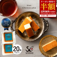 ＼期間限定★クーポンで50％OFF／ 送料無料 チーズケーキ 【ふわふわ触感ブルーチー...