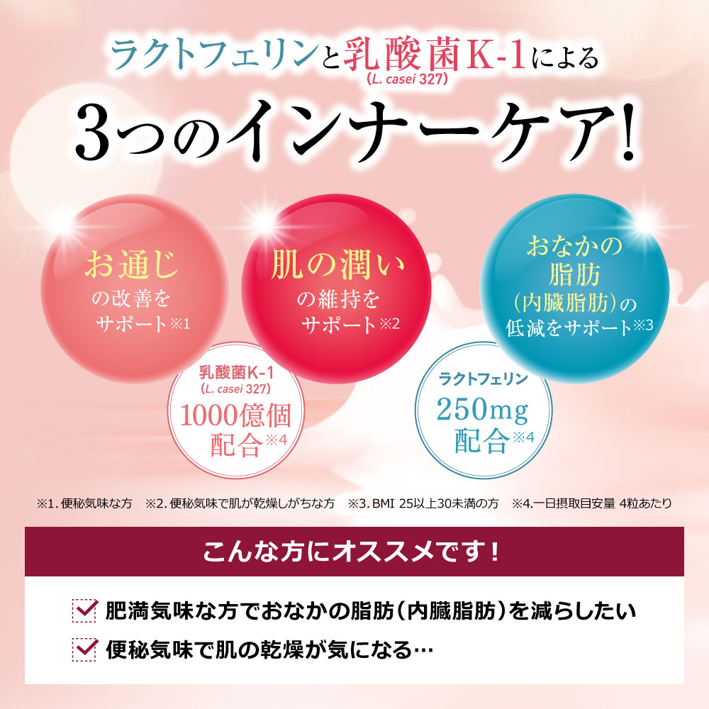 腸まで届けるナイスリムエッセンス ラクトフェリン 乳酸菌PLUS 124粒入り×3袋 セッ...