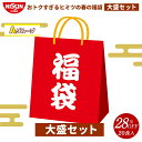 【Aグループ】日清オンラインストア春の福袋 大盛セット