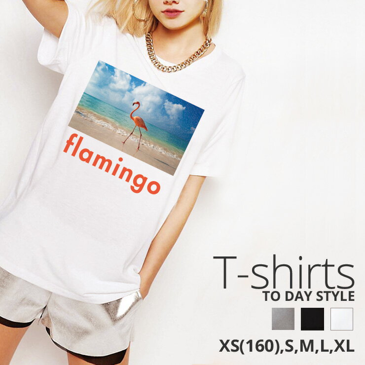 TVc fB[X Y N[lbN ێ   Jbg\[  flamingo t~S C Y  sN  ʐ^ photo