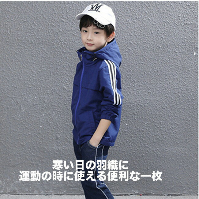 ������ɥ֥졼���� �������� �Ҷ��� �ˤλ� �����ȥɥ������� �ա��ɥ��å� ���㥱�å� �ѡ����� �����ѡ� �֥륾�� ���� ����˥� �٥ӡ� �������� ���ɤ� �ȥåץ� �ܡ����� ���� �ɴ� �� �� 110cm 120cm 130cm 140cm 150cm 160cm 170cm ����̵��