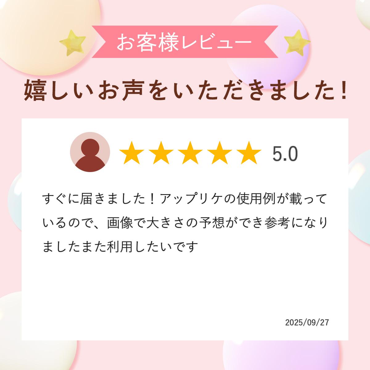 【2枚以上同時購入でメール便送料無料】スヌーピー アップリケデコステッカーPEANU...