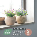 \母の日ギフトに/【2個セット】抗菌 消臭 インテリアグリーン カエル ネコ デイジー 開運 招福 光触媒 フェイクグリーン インテリアグリーン 造花 [カエル...