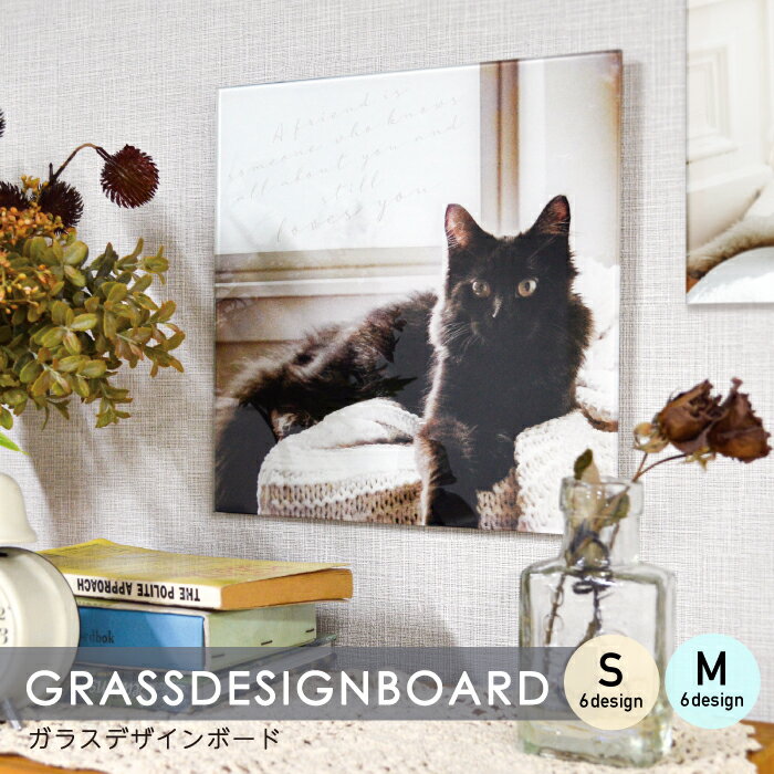 ���饹�����ȥܡ��� / �Υ��饹�ǥ�����ܡ���S��M�ϥ��饹 �����ȥѥͥ� 25��25cm 27.5��40cm �����ȥܡ��� ������ �ԥ����㡼 �������륢����...