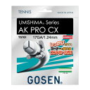 GOSEN AK-PRO CX エーケープロシーエックス 1.24mm12.2m ナチュラル(TS761・NA)