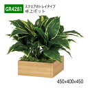 【正規代理店】BELK GreenMode ベルク グリーンモード GR4281 卓上ポット 木目ポット 450×400×450 パーテーション パーティション...