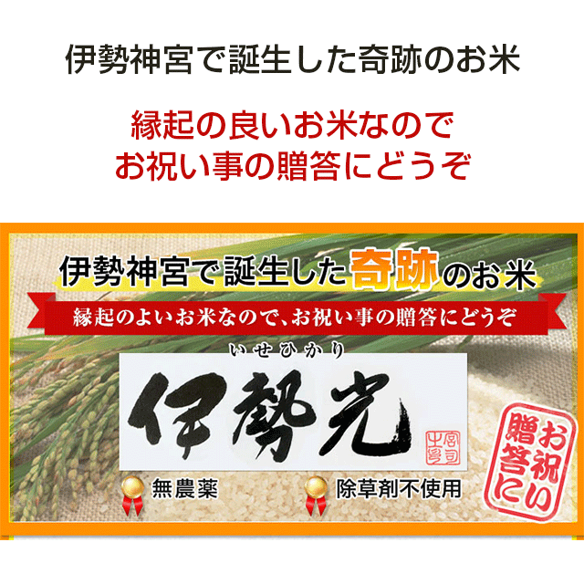 令和3年度産・三重県伊勢神宮御神米「伊勢光(いせひかり)」3kg・玄米・「栽培期間中無農薬・除草剤不使用」コシヒカリ・石川県産・奇跡の米