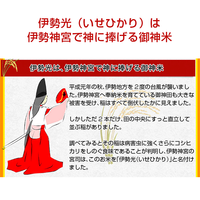 令和3年度産・三重県伊勢神宮御神米「伊勢光(いせひかり)」3kg・玄米・「栽培期間中無農薬・除草剤不使用」コシヒカリ・石川県産・奇跡の米