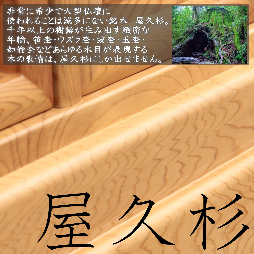 仏壇 唐木 屋久杉 椿 (つばき) 40-16...の紹介画像3