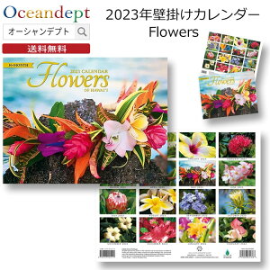 カレンダー 2023 壁掛け 花 おしゃれ フラワーカレンダー ハワイ かわいいお花 植物 A4版 2022年11月始まりカレンダー ハワイカレンダー 壁掛けカレンダー マンスリー