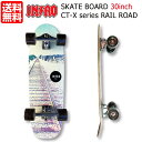 XP[g{[h Cg INTRO SKATE BOARD CT-X series RAIL ROAD 30C` XP{[ Rv[g T[tXP[g {Ki