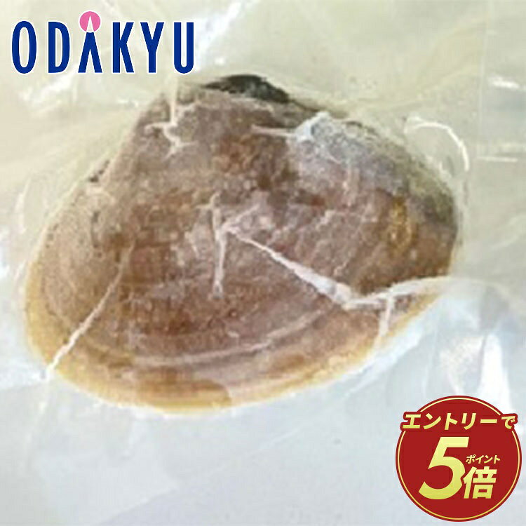 お取り寄せ 産地直送 送料無料 愛知三河湾産 天然大はまぐり H-501K ｜7-10日程度でのお届け※沖縄・離島へは届不可(直) odakyu-dept-store-10022892 小田急百貨店楽天市場店 パッケージ画像