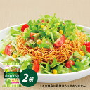 レタスがおいしいパリ麺サラダ 2袋 セット レタス 野菜 サラダ ドレッシング ダイショー