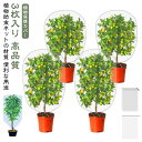 防虫ネット 1*0.8m 園芸用ネット ホワイト ネット 防虫 防虫ネット プランター 鳥よけネット 防鳥ネット 植物保護カバー 菜園 ネット 防虫ネット カバ...