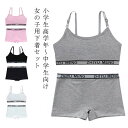 スポーツブラ キッズ ジュニア向け 子供用下着 高校生 ショーツ 2点セット カップ付き 下着セット レディース 女の子 12才〜16才 インナー リブ英字ロゴ...