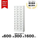 小物 貴重品ロッカー ボタン錠 スチールロッカー ホワイト30人用 LV-042956N ∴ 小物入れロッカー30人用 W600 D300 H1600 KLKW...