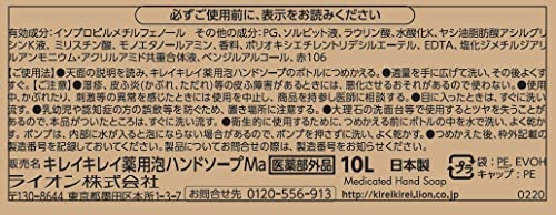 【業務用 大容量】 薬用 泡ハンドソープ シトラスフルーティの香り 10L(医薬部外品): ビューティー