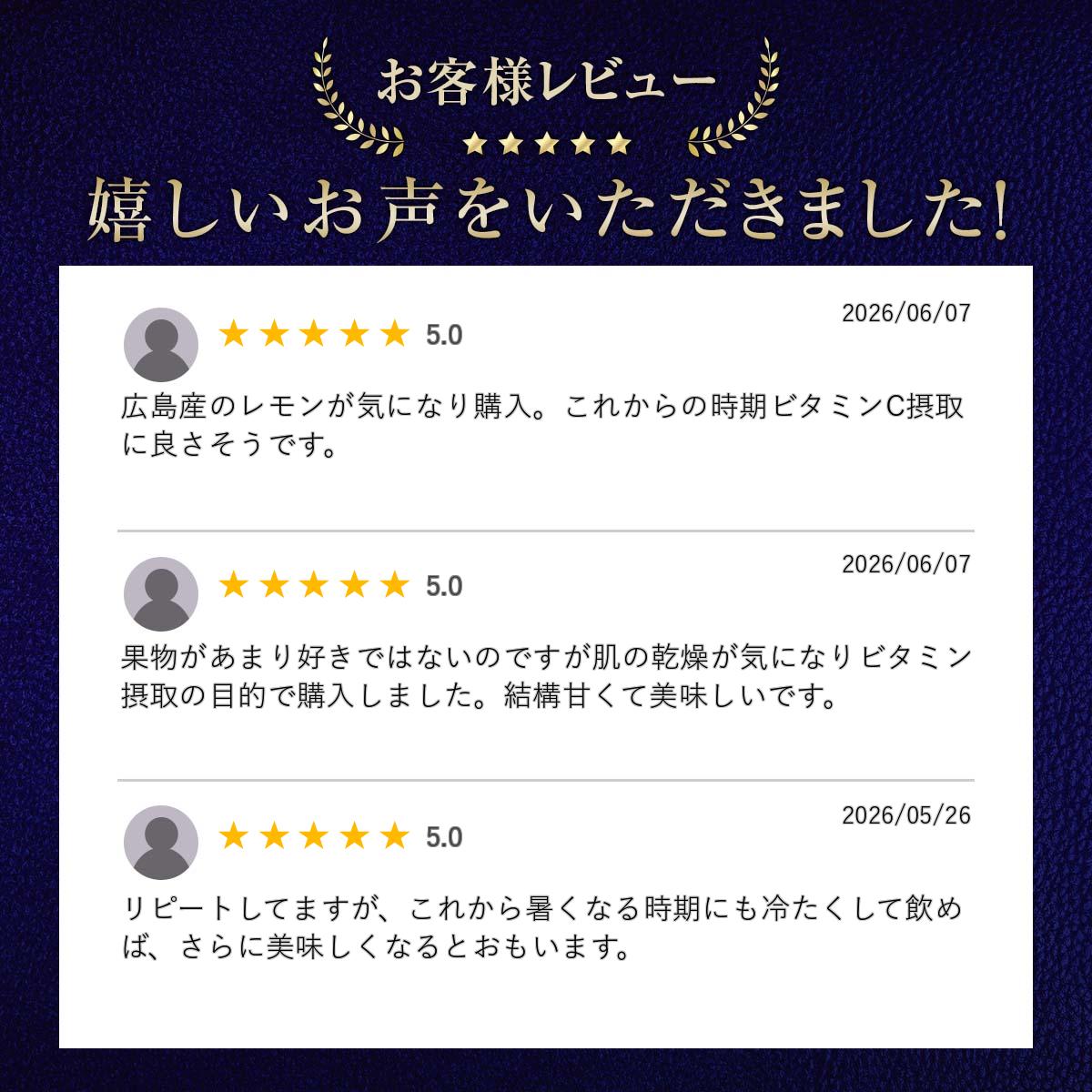 送料無料 広島産レモン 100％使用 粉末飲料 20杯分 広島レモン 皮ごと使用 ビタミン補給 ホットレモン レモンウォーター ビタミン ドリンク 粉末飲料 ビタミンC 1000ポキ 国産レモン 果汁100% 国産レモン レモネード LEMON936 ビタミンレモン