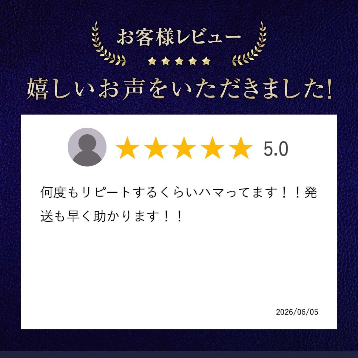 送料無料 尾道 オオニシ 【 手羽先 10袋 】 ネコポス 配送 全国 有名 おつまみ 珍味 ブロイラー 肉加工品 尾道名物 広島名物 酒のあて 広島 お土産 ガーリック 簡単 駄菓子 おやつ 買い回り oishii-hiroshima-10001249 おいしい広島!! 楽天市場店 サンプル画像3