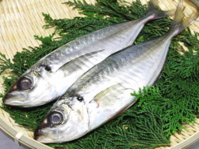 【鮮魚】天然鯵〈アジ〉【1本釣】1Kg前後、3〜5匹前後