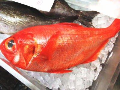 【鮮魚】金目鯛〈キンメダイ〉1匹、1Kg〜2Kg前後