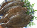 【鮮魚】真子鰈〈マコカレイ〉1匹、200g〜500g前後